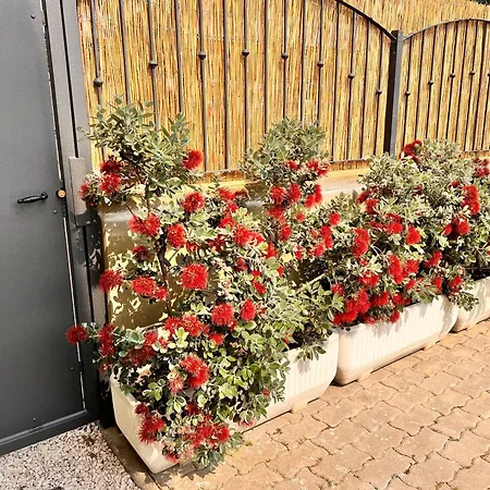 Casa Grecale Girasole
